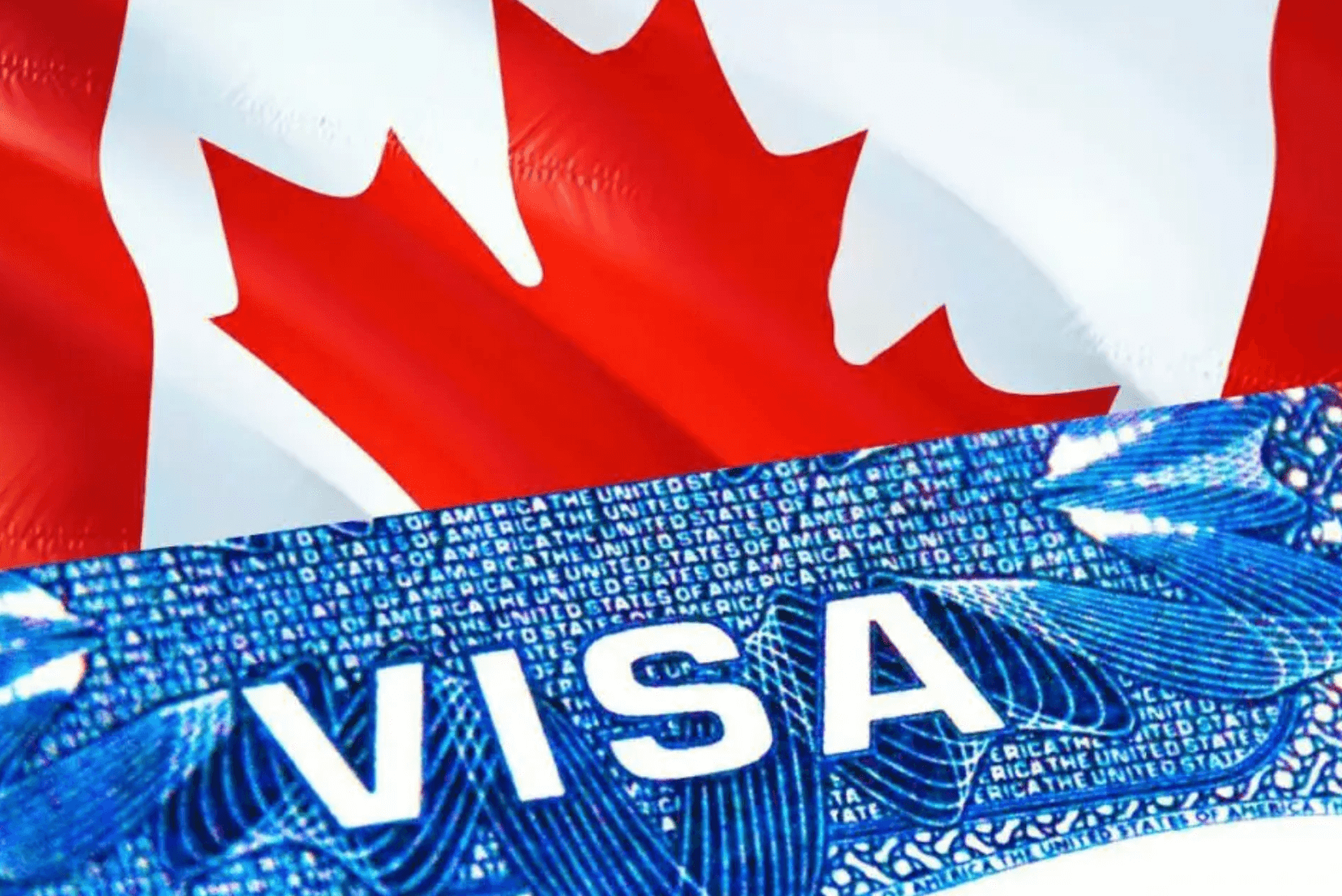 2024加拿大移民局签证最新政策