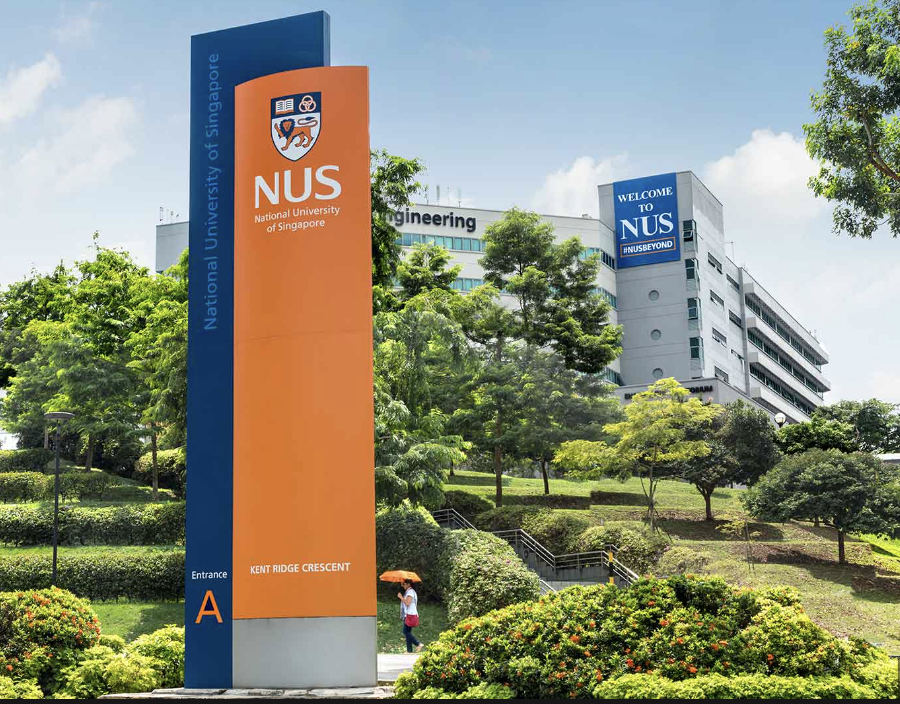 新加坡国立大学24fall新增专业