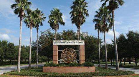 南佛罗里达大学将成立一所新的学院