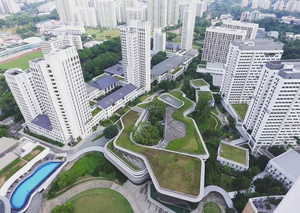 新加坡国立大学2024fall更新